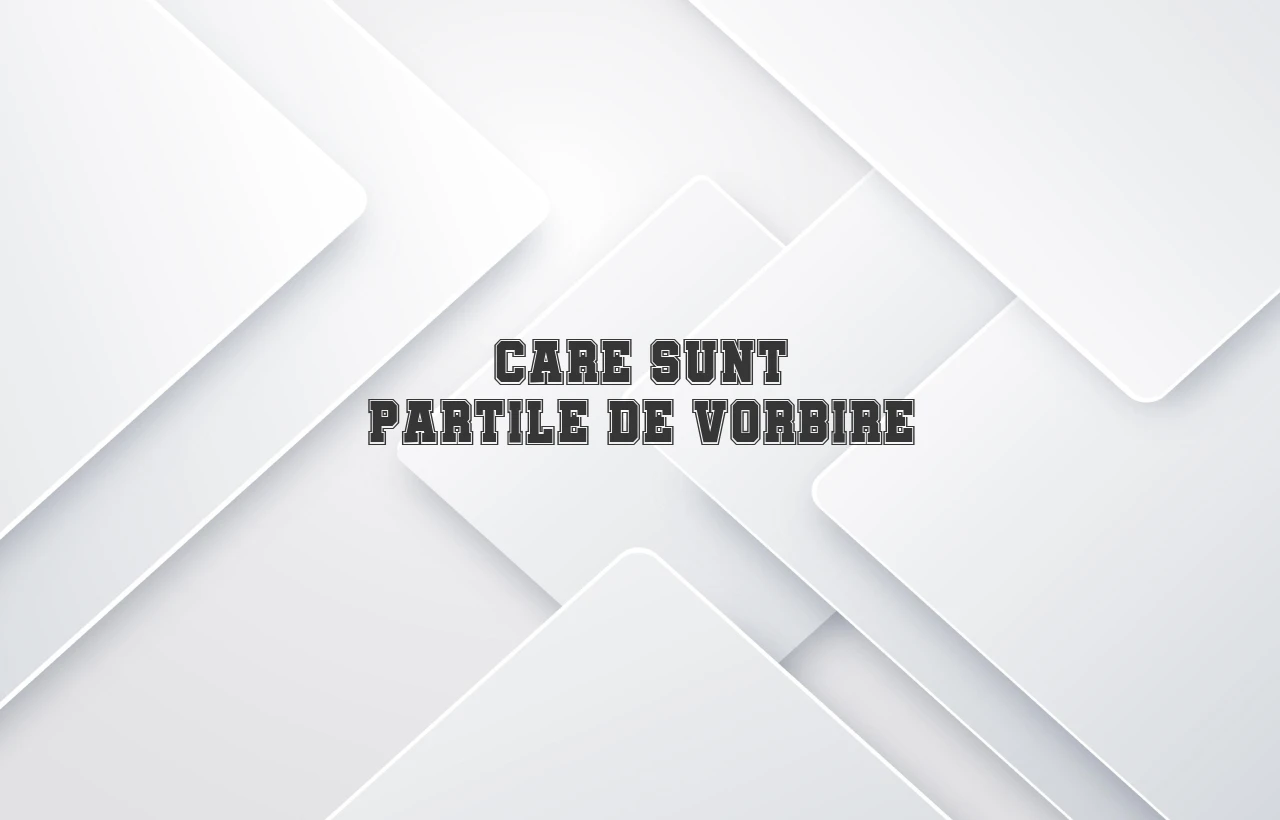 care sunt partile de vorbire