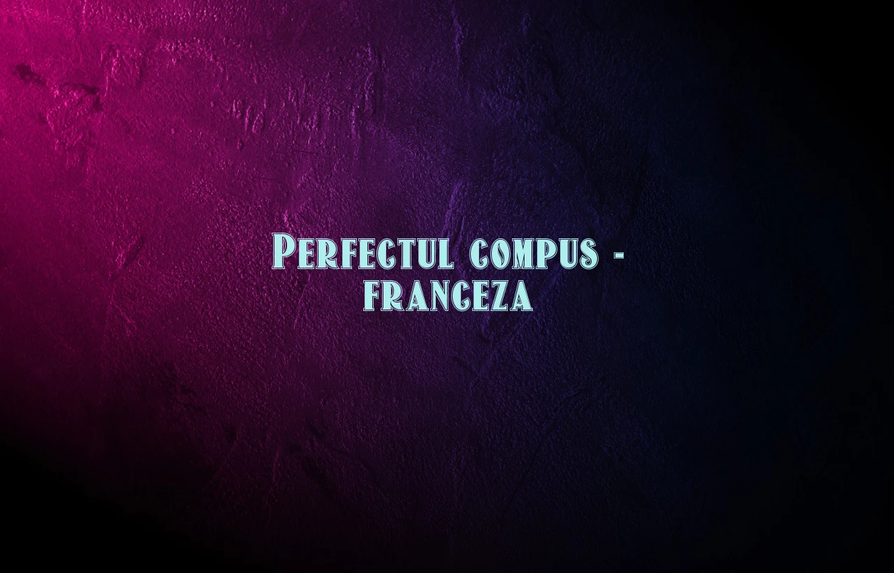 perfect compus franceza
