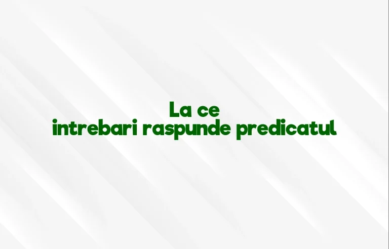 la ce intrebari raspunde predicatul