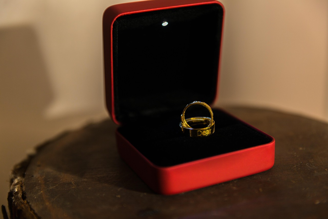 nicoleta luciu divort