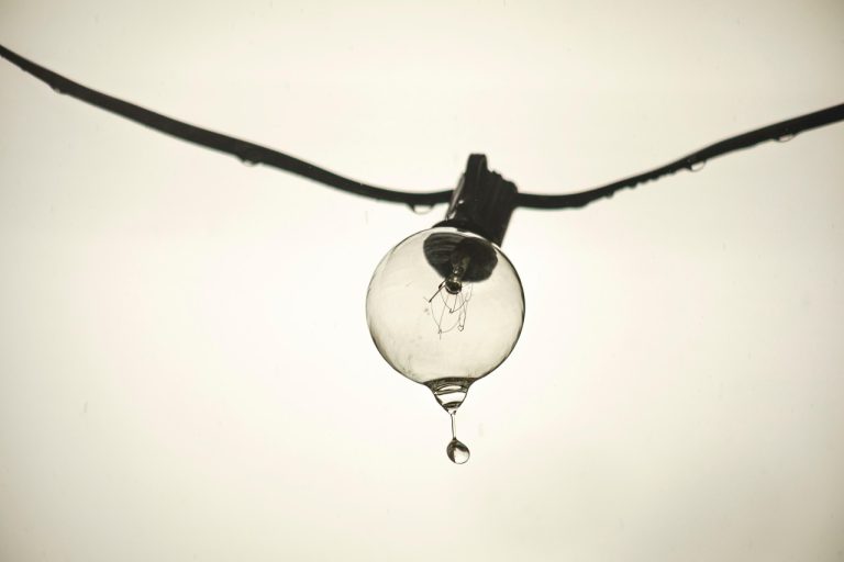 idei de afaceri la tara non-agricole