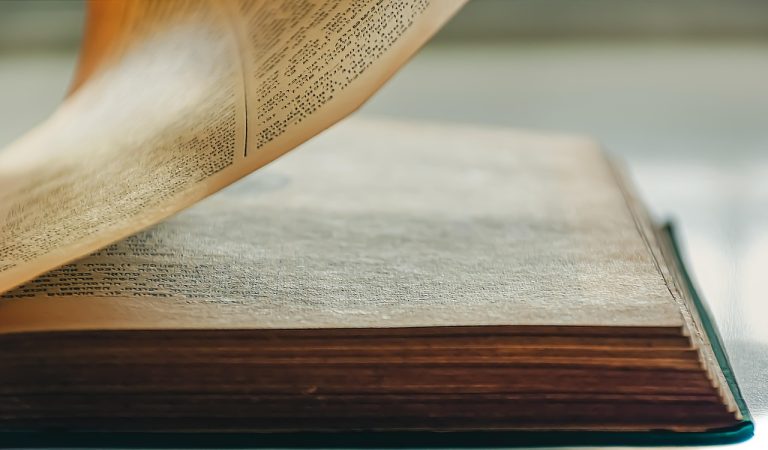 ce este un plan de afaceri